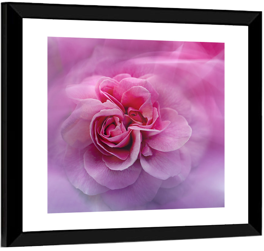 Ethereal Pink Rose Bloom Wall Art
