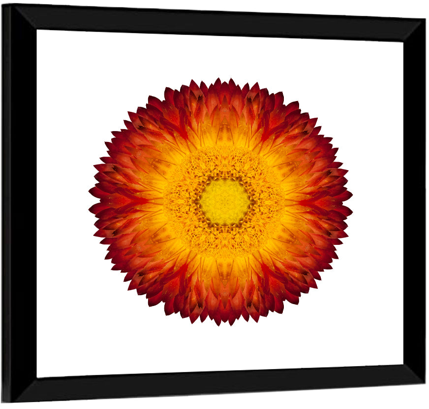 Kaleidoscopic Strawflower Mandala Wall Art