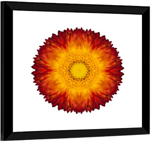 Kaleidoscopic Strawflower Wall Art