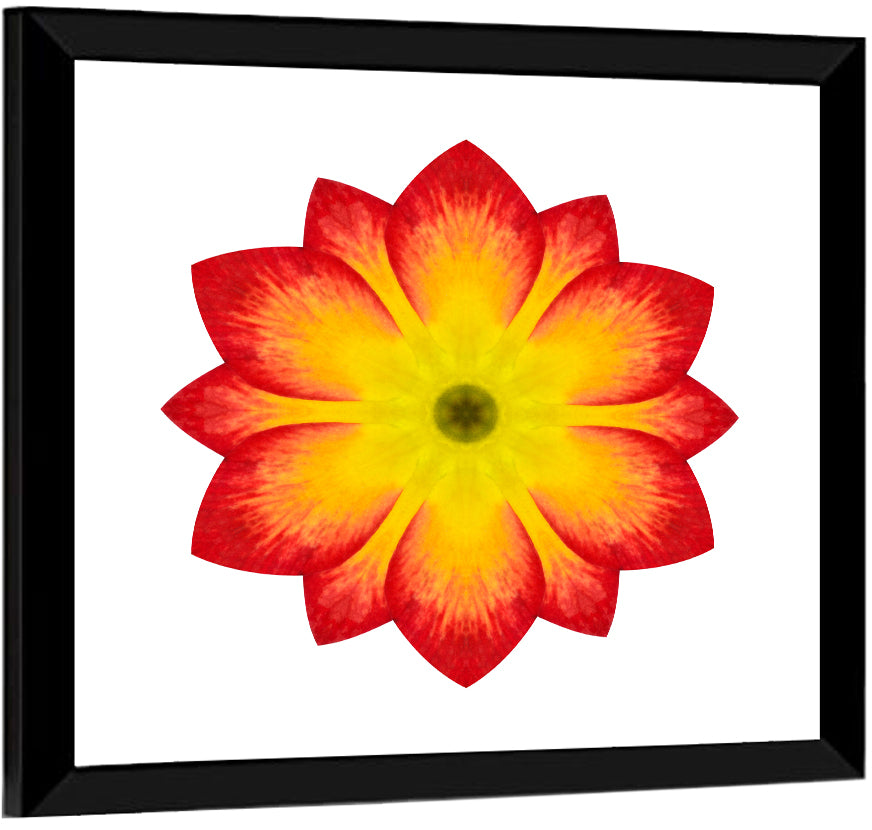 Primrose Radial Mandala Wall Art