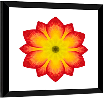 Primrose Radial Mandala Wall Art