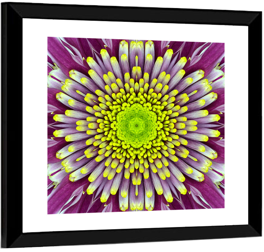 Mandala Chrysanthemum Macro Wall Art