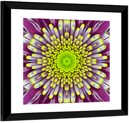 Mandala Chrysanthemum Macro Wall Art