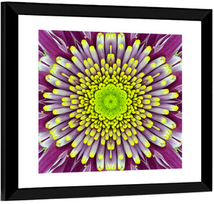 Concentric Flower Wall Art