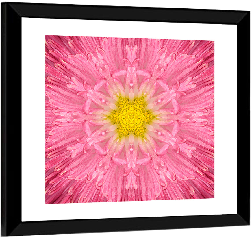 Pink Chrysanthemum Mandala Bloom Wall Art