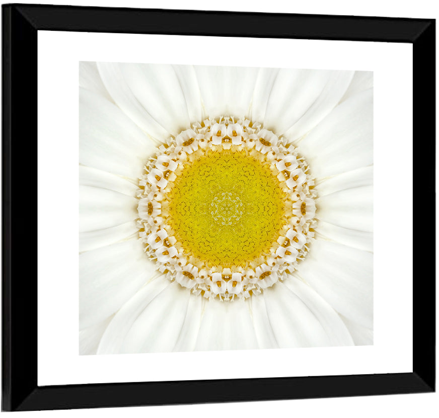White Flower Mandala Kaleidoscope Wall Art