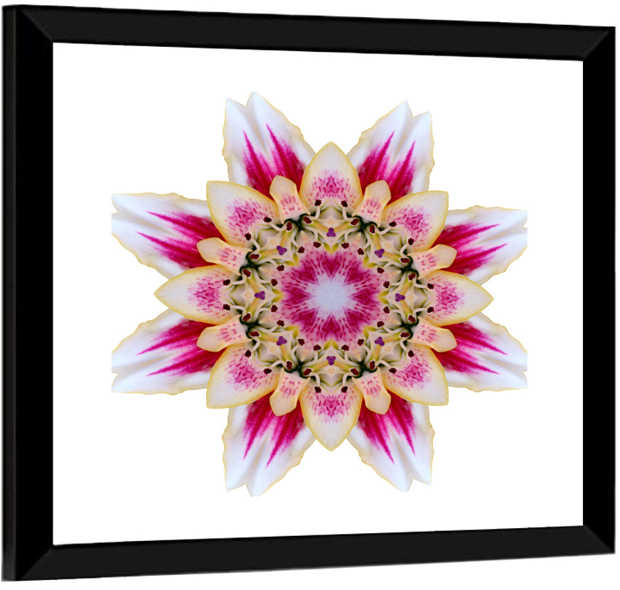 Pink Lily Star Mandala Pattern Wall Art