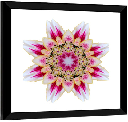 Pink Lily Star Mandala Pattern Wall Art