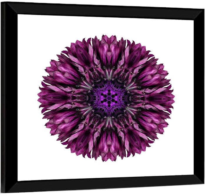 Purple Cornflower Kaleidoscope Mandala Wall Art as a framed print