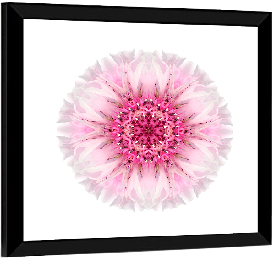 Pink Cornflower Kaleidoscope Mandala Wall Art