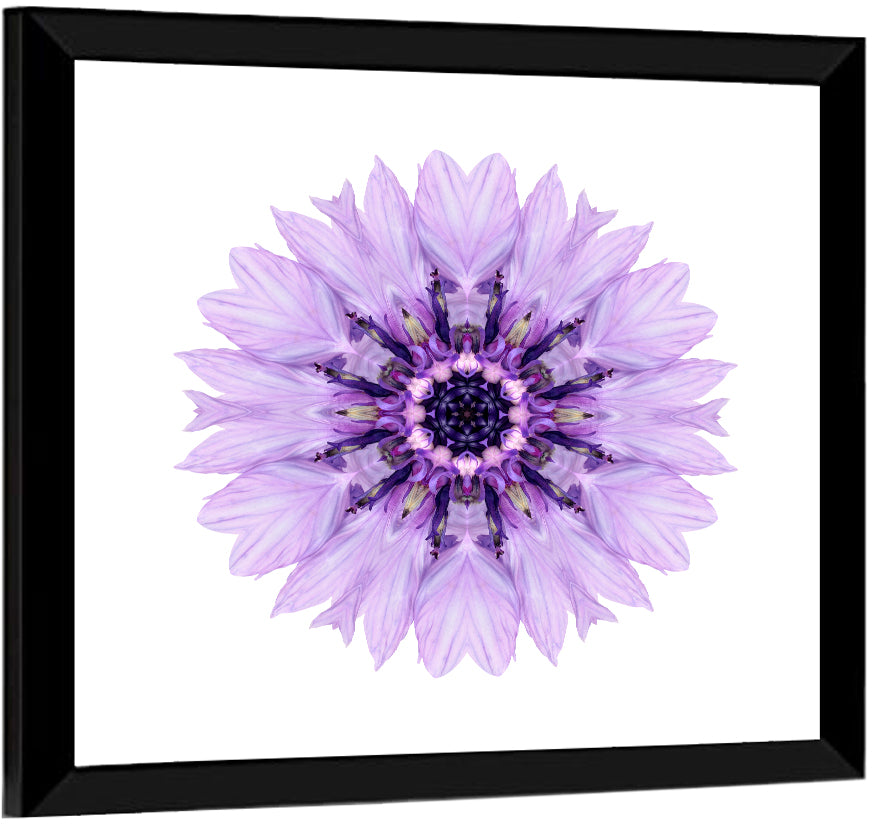 Lavender Cornflower Mandala Wall Art