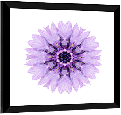Lavender Cornflower Mandala Wall Art
