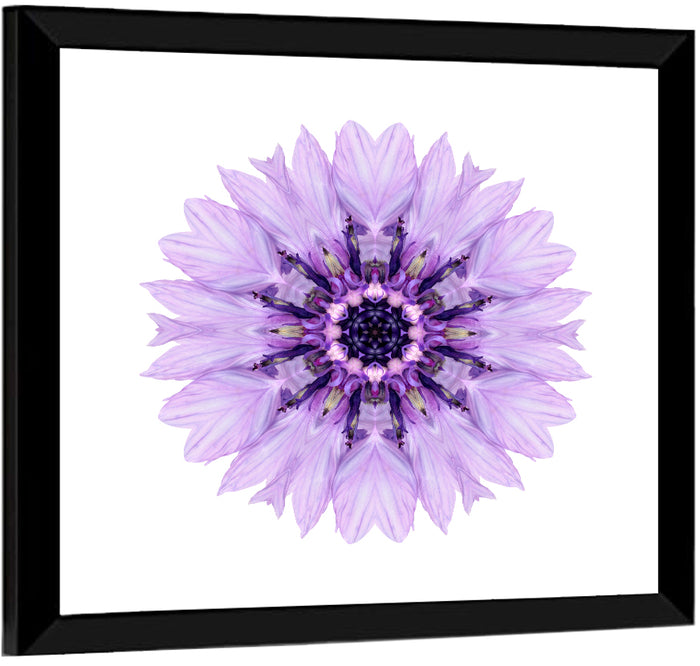 Lavender Cornflower Mandala Wall Art as a framed print