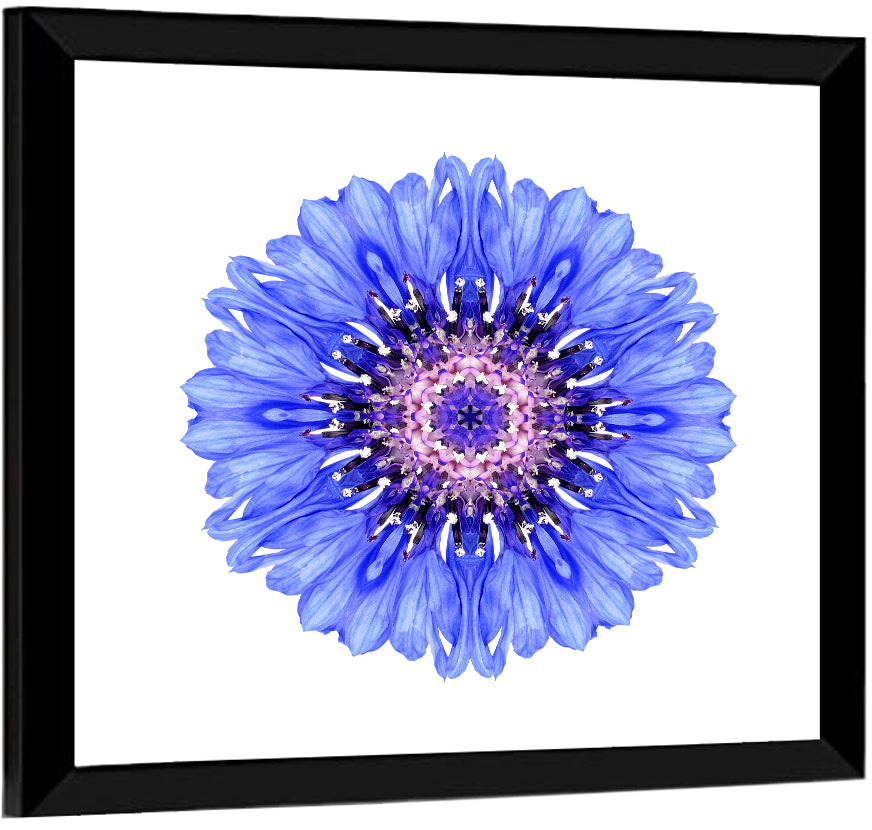 Blue Cornflower Mandala Pattern Wall Art
