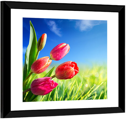 Tulips in Spring Wall Art