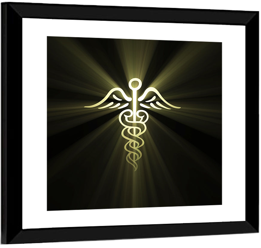 Medical Corps Caduceus Emblem Wall Art