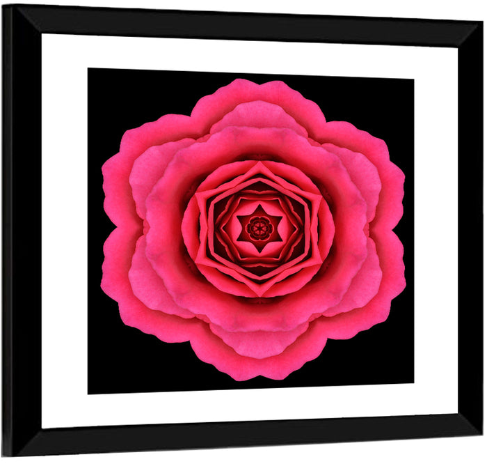 Magenta Rose Mandala Pattern Wall Art as a framed print