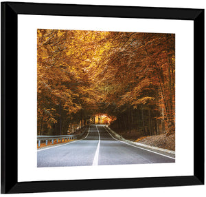 Dense Forest Road Wall Art