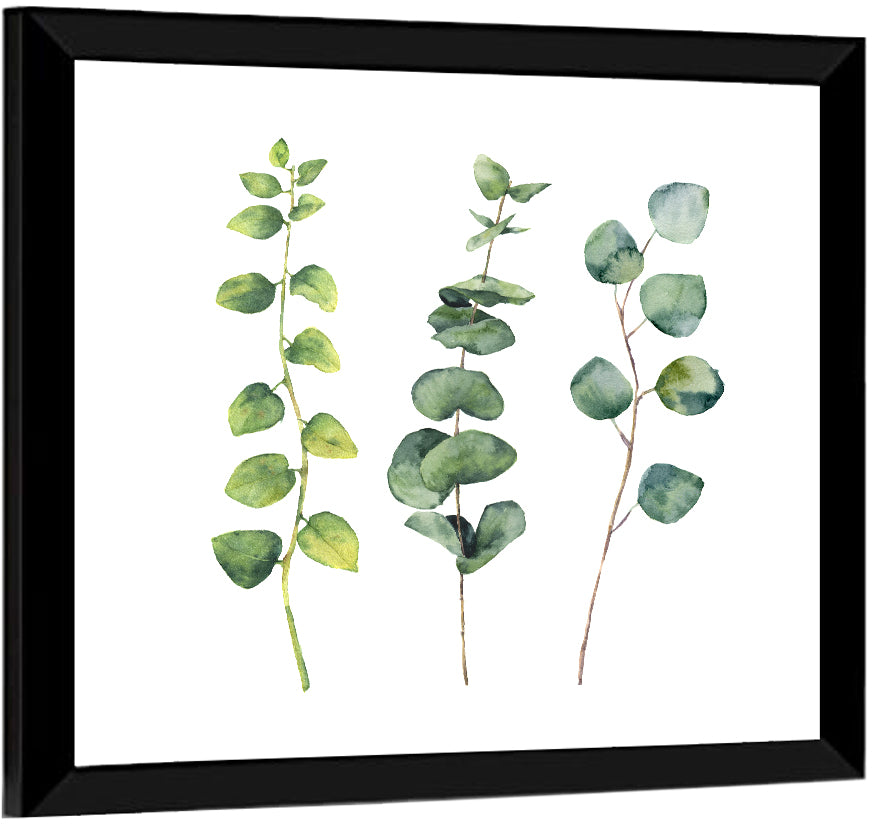Watercolor Eucalyptus Stems Wall Art