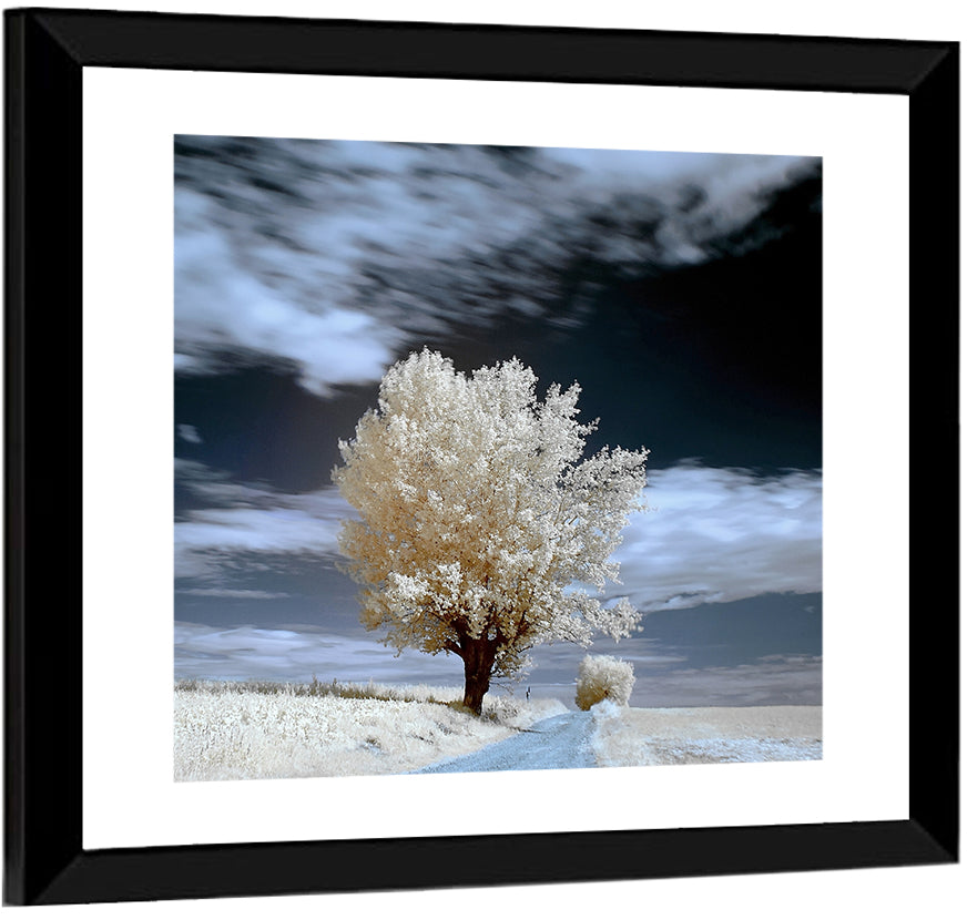 Infrared Winter Willow Tree Wall Art