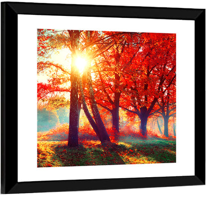 Autumn Park Sunrise Wall Art
