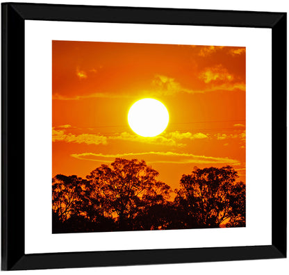 Burning Sun Over Tree Silhouettes Wall Art