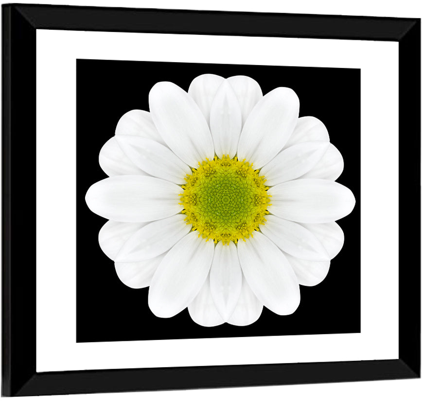 High Contrast Daisy Mandala Pattern Wall Art