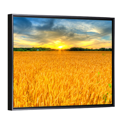 Wheat Field Sunset Wall Art