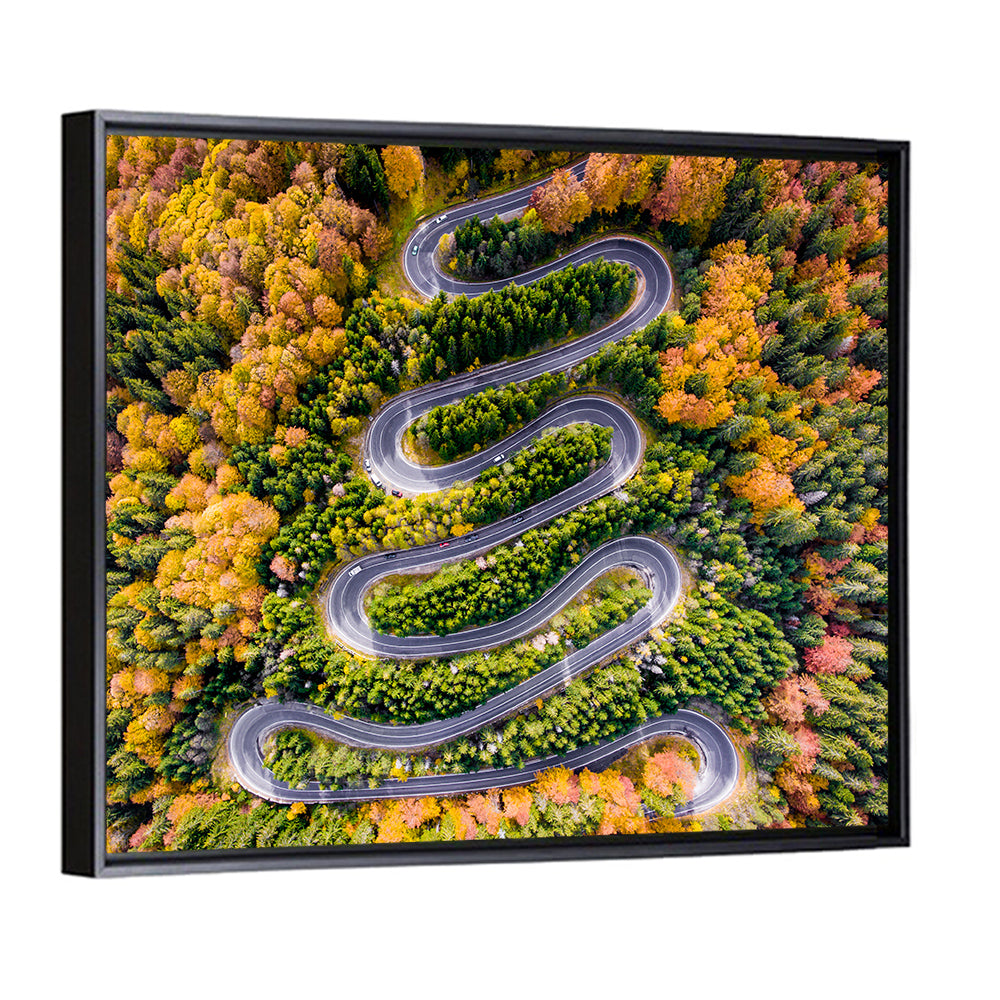 Autumn Winding Forest Road Wall Art