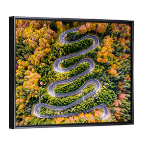 Winding Forest Road Wall Art