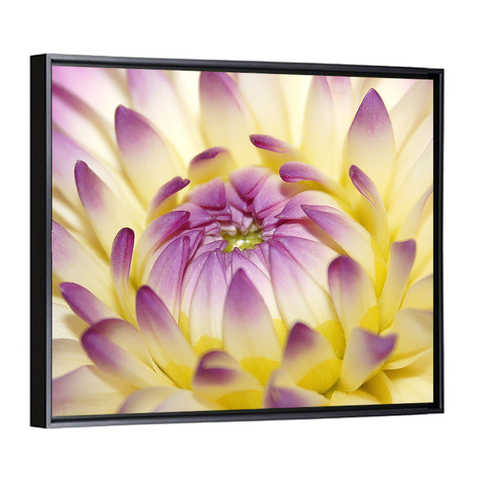 Dahlia Macro Portrait Wall Art