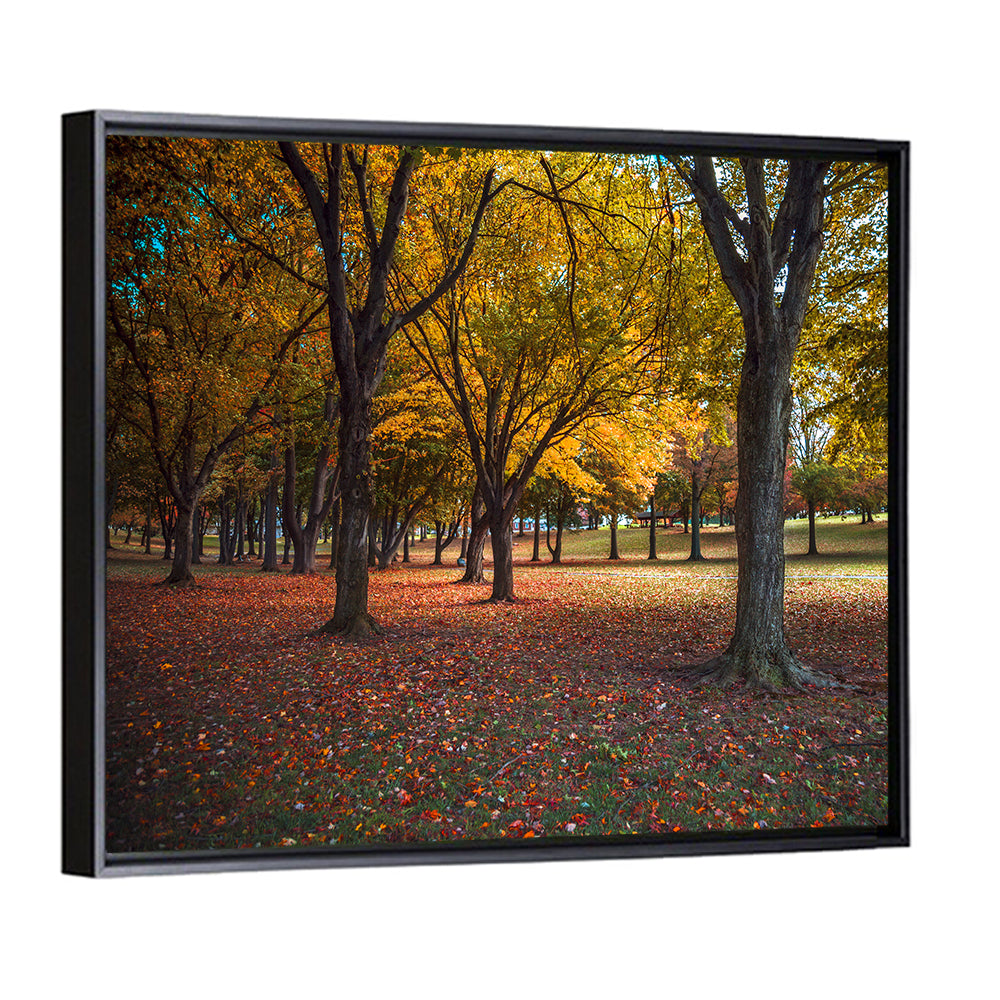 Autumn Park Trees, Pennsylvania Wall Art