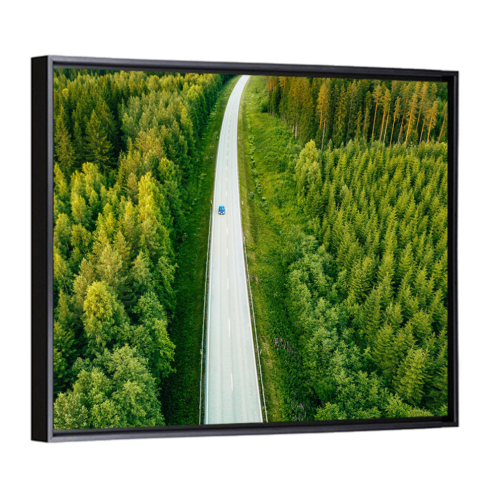 Blue Car on Forest Road Wall Art