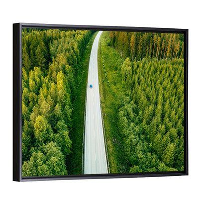 Blue Car on Forest Road Wall Art
