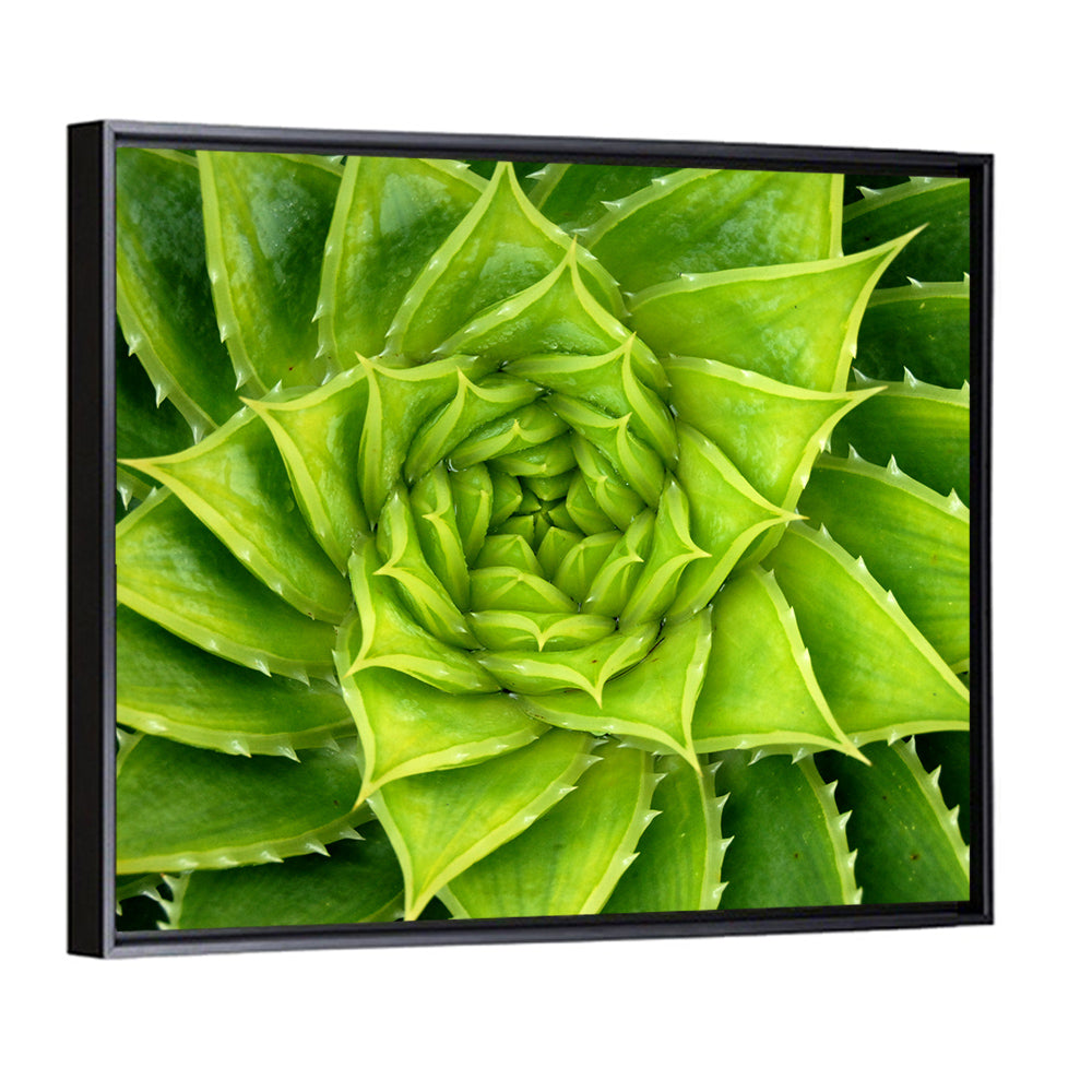 Spiral Aloe Succulent Wall Art