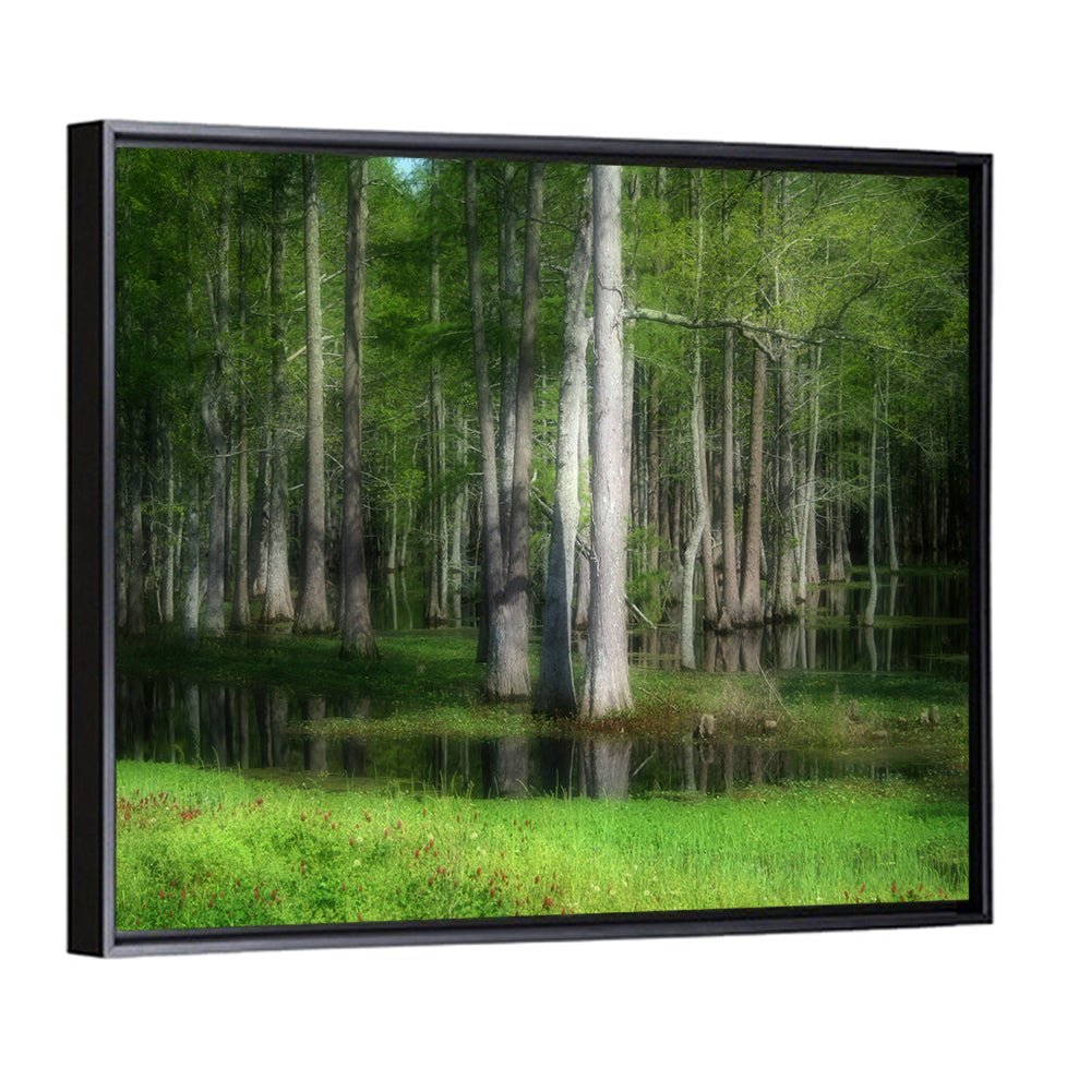 Lush Cypress Swamp Wall Art