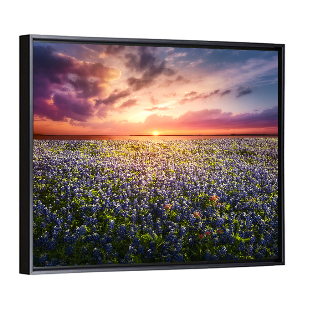 Texas Bluebonnet Sunset Wall Art