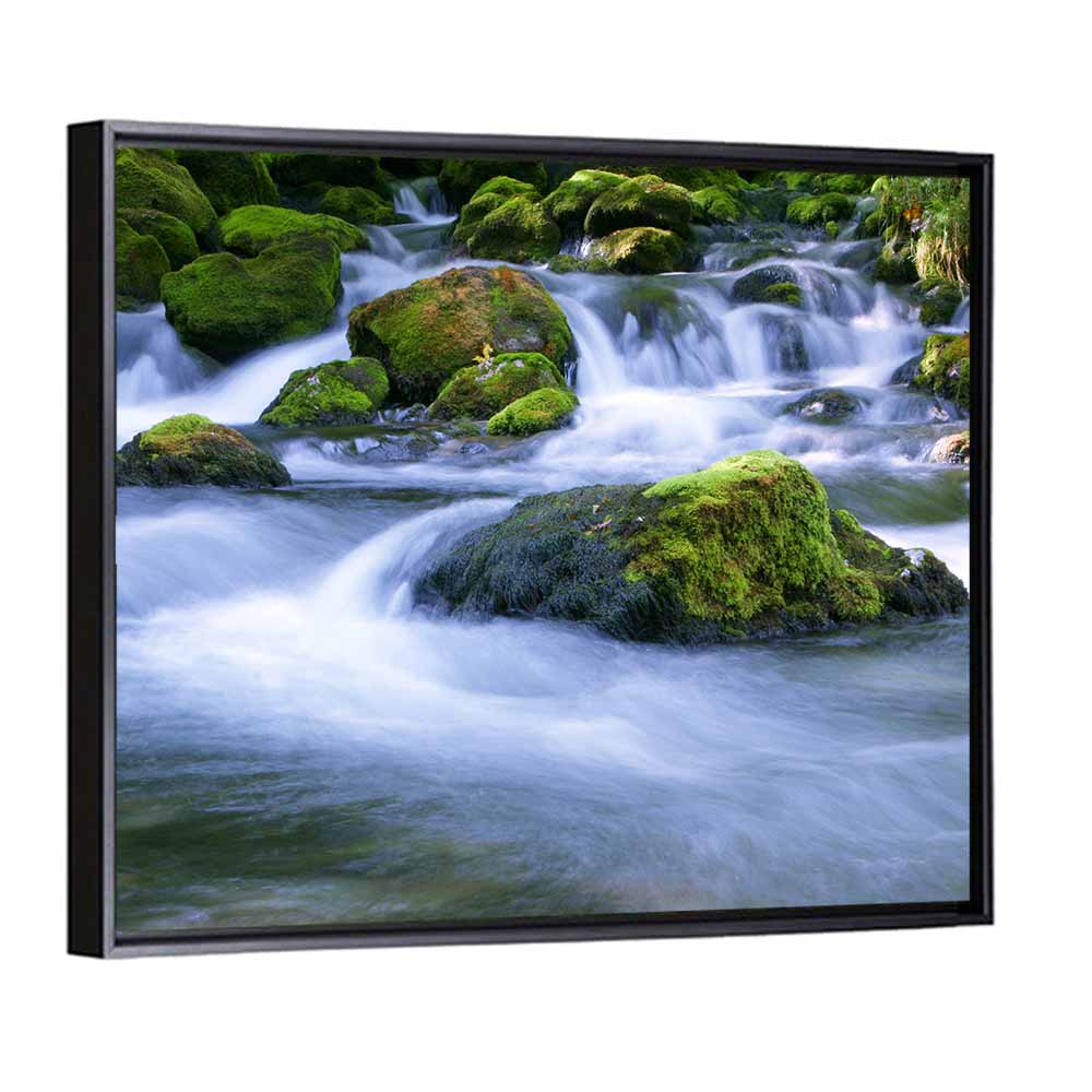 Mossy Forest Stream Wall Art