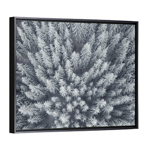 Forest Snowy Trees Wall Art