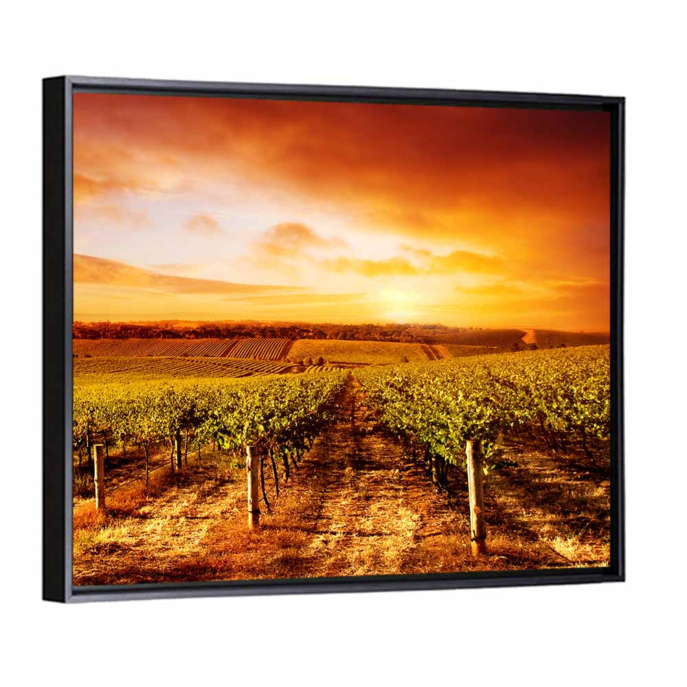 Australian Vineyard Sunset Wall Art