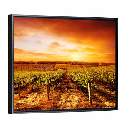 Australian Vineyard Sunset Wall Art