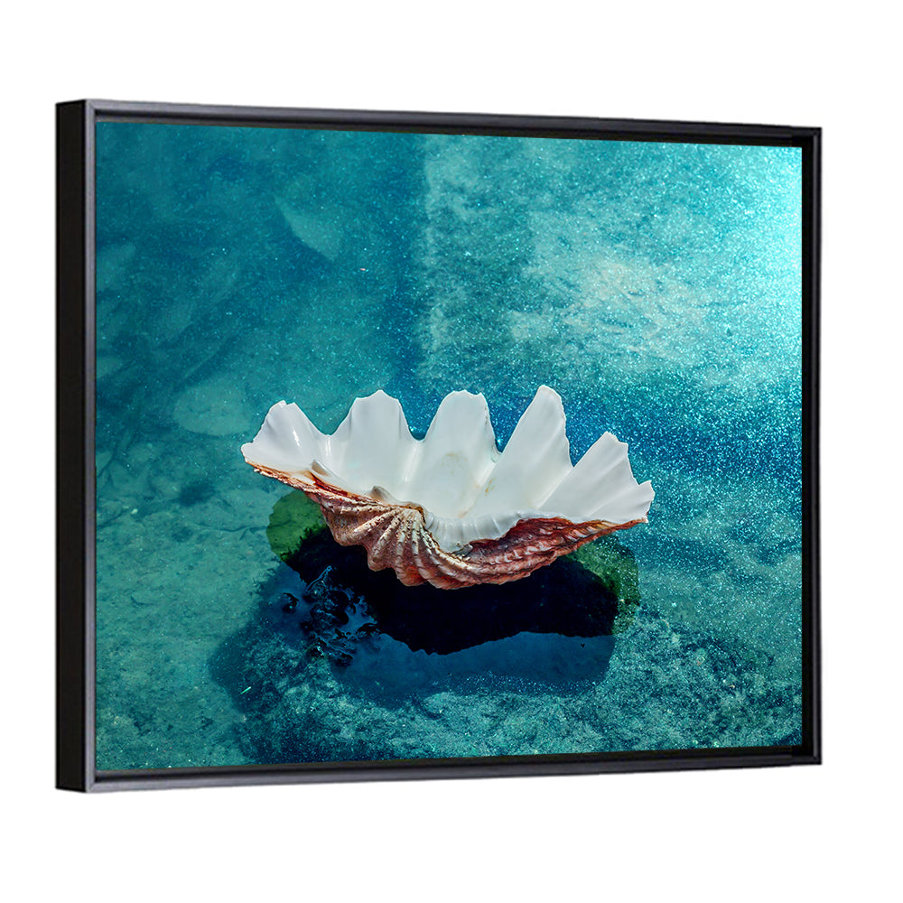 Giant Clam Shell Wall Art