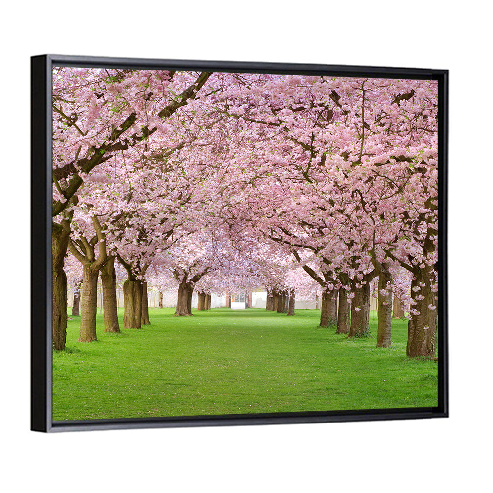 Blossoming Cherry Wall Art