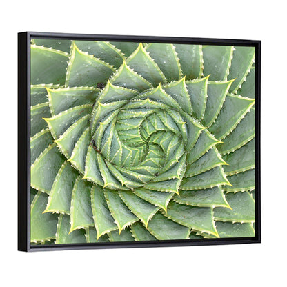 Spiral Aloe Close-up Wall Art