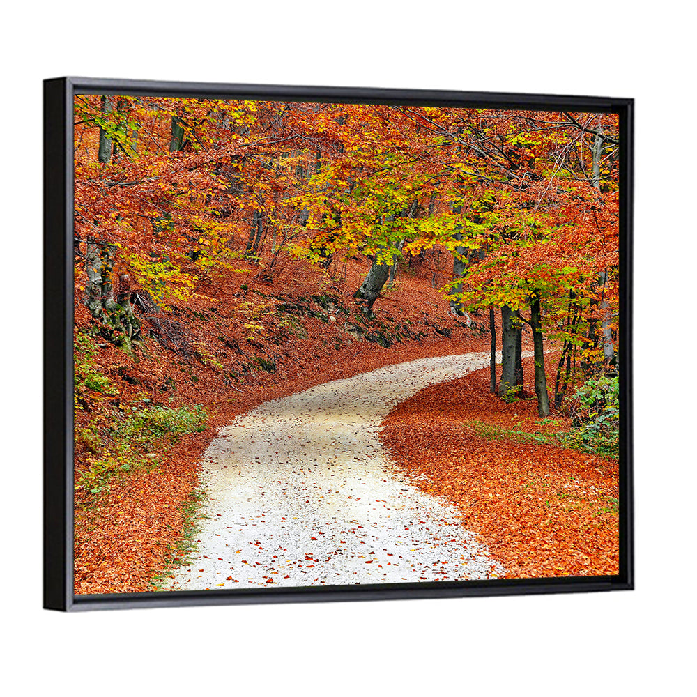 Misty Gravel Path Through Autumn Trees Wall Art