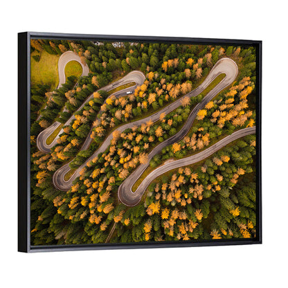 Aerial Curvy Forest Road Wall Art