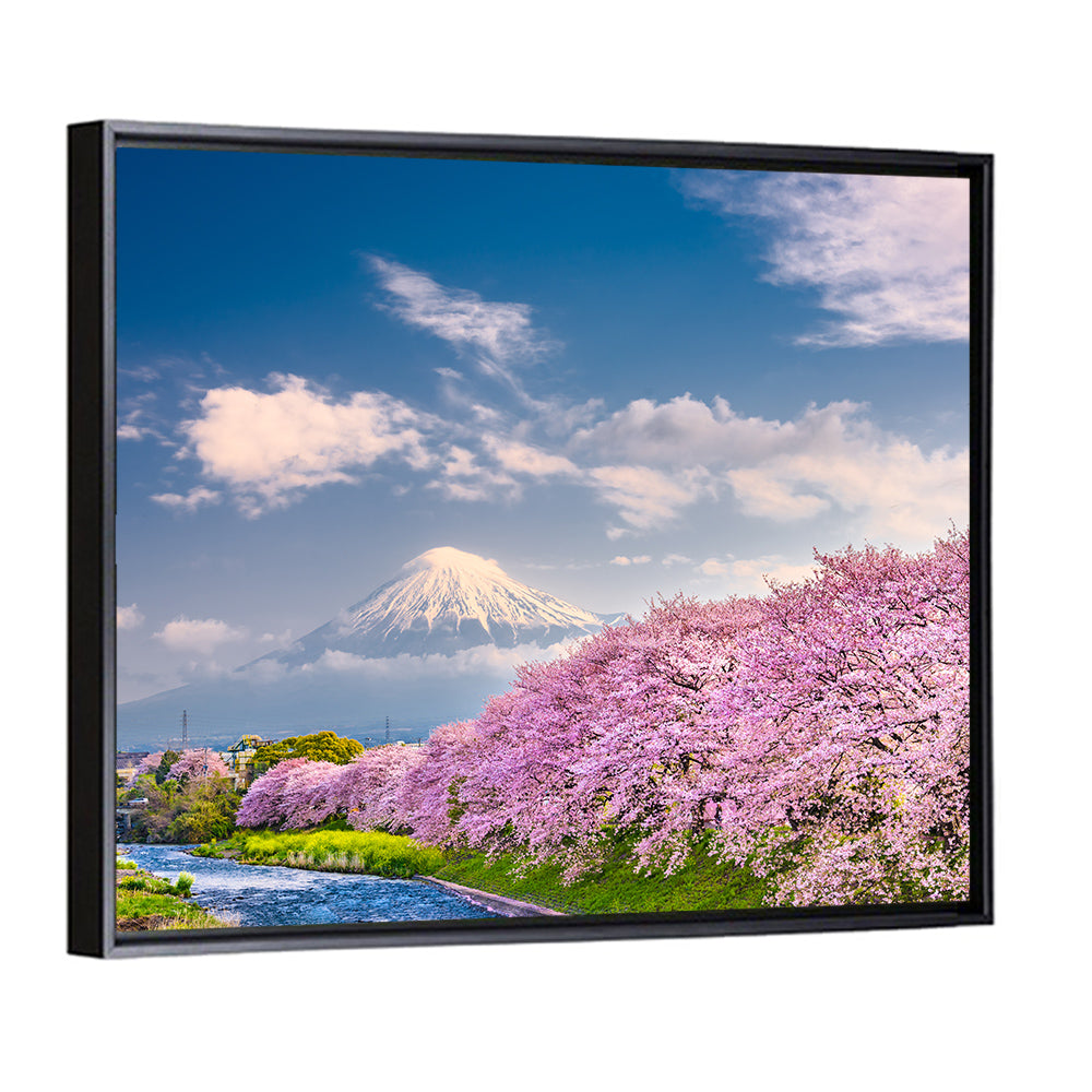 Mount Fuji Cherry Blossoms Wall Art