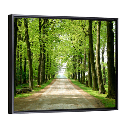 Sunlit Tree-lined Path Wall Art