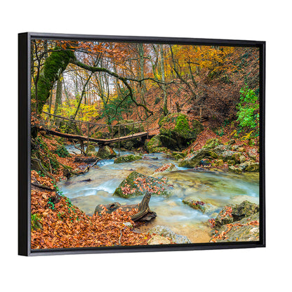 Autumn Forest Stream Wall Art