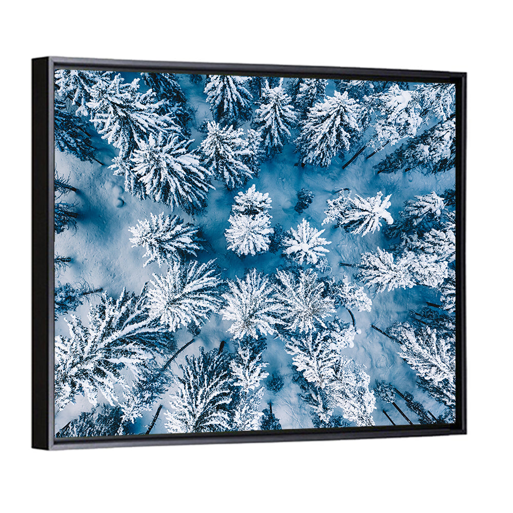 Aerial Snowy Forest Wall Art